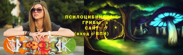 тгк Кодинск