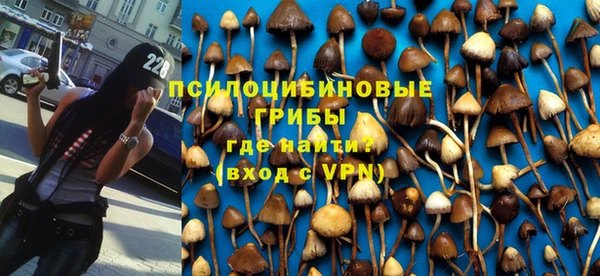 тгк Кодинск