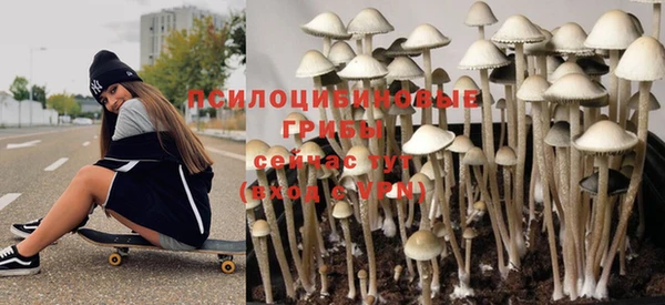 хмурый Козловка