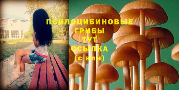 тгк Кодинск