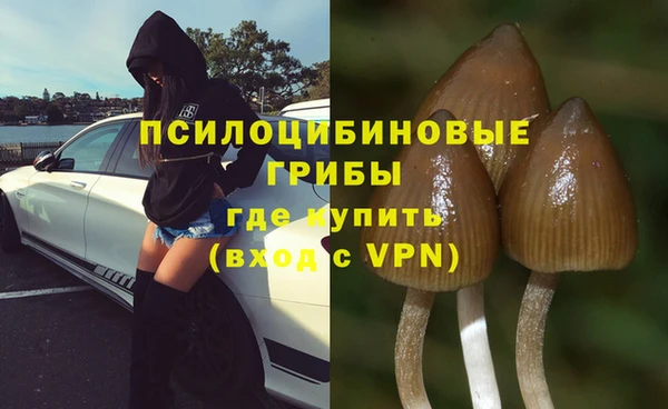 хмурый Козловка